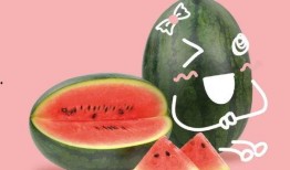 夏天吃瓜的头像