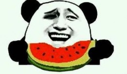 大疆吃瓜视频,揭秘无人机界的趣味瞬间