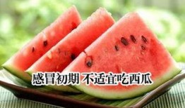 感冒咳嗽吃瓜,吃瓜也能缓解不适？揭秘瓜类食材的神奇功效