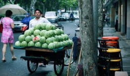 吃瓜新世纪,揭秘网络时代下的“瓜田”盛景