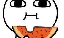 吃瓜的熊猫人,揭秘萌宠的欢乐日常