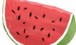 吃瓜吃成瓜皮的说说,从“吃瓜吃成瓜皮”看网络流行语的演变与趣味