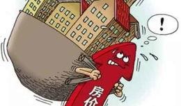 吃瓜群众有哪些政策,揭秘新时代下的社会观察与参与之道