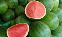 从吃瓜到吃瓜,我的吃瓜成长记