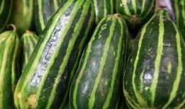 吃瓜好多滑倒,揭秘瓜田里的意外瞬间