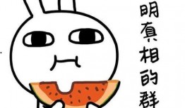 六六吃瓜找妈,一场寻找妈妈的奇幻之旅