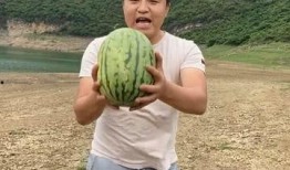 乡野兄弟吃瓜最新,揭秘农村生活的欢乐时光