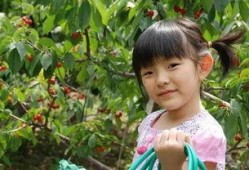 新蔡吃朋友的瓜,揭秘背后故事与人物关系