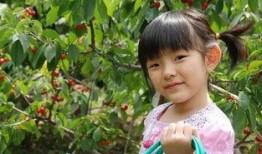 新蔡吃朋友的瓜,揭秘背后故事与人物关系