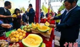 甘肃吃瓜事件最新,揭秘背后真相与网络舆论风暴