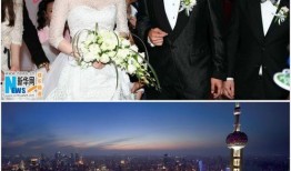 总裁夫人吃瓜系统,揭秘豪门背后的甜蜜与酸楚