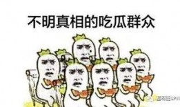 lsp 吃瓜群众,LSP视角下的吃瓜群众众生相