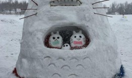 带你吃瓜解说奇葩雪人,奇葩雪人生存法则大揭秘