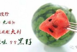 开头吃饭然后吃瓜,闲话家常，品味人生