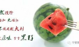 开头吃饭然后吃瓜,闲话家常，品味人生