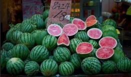 吃瓜新世纪,揭秘网络时代下的“瓜田”盛景