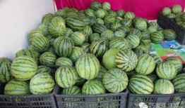 吃薄肉瓜的好处,薄肉瓜的神奇益处揭秘