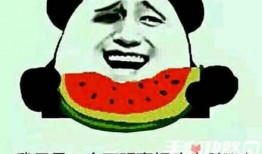 吃瓜的搞笑梗,那些让人捧腹的吃瓜趣事