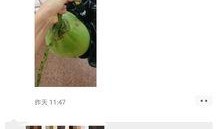 吃瓜聊天大学,吃瓜聊天，大学生活的多面风采