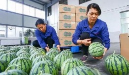 音乐老师吃瓜上海,揭秘音乐界背后的故事
