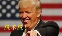 吃瓜疯人,揭秘疯狂人生背后的故事