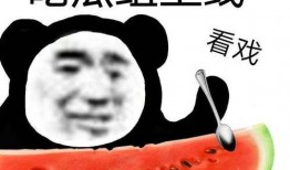 如何停下吃瓜,学会适时抽身，拥抱生活新篇章
