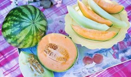 梦见把瓜给别人吃,瓜分喜悦，共享人生美好