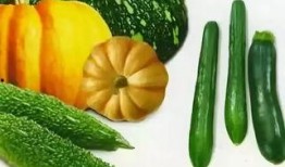 吃太多瓜想吐,吃太多瓜想吐的应对攻略