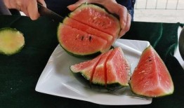 开头吃饭然后吃瓜,闲话家常，品味人生