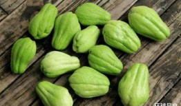 聪明瓜 吃鸡,聪明瓜带你领略吃鸡游戏的魅力