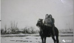 吃瓜岱岱图穷匕现,揭秘吃瓜岱岱背后的惊人真相