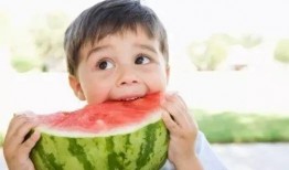 六六吃瓜找妈,一场寻找妈妈的奇幻之旅