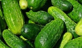 梦见在瓜地里分瓜吃