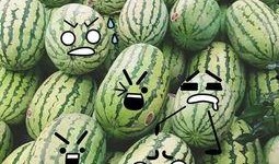 聪明瓜 吃鸡,聪明瓜带你领略吃鸡游戏的魅力