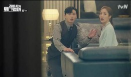 吃瓜大叔说剧,揭秘热门剧集幕后故事