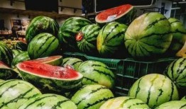 希儿吃瓜,揭秘娱乐圈背后的秘密与八卦