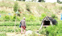 榆林健身吃瓜,揭秘健身达人的饮食秘密