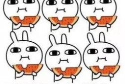 不敢随意吃瓜的成语,洞察真相——不敢随意吃瓜的智慧