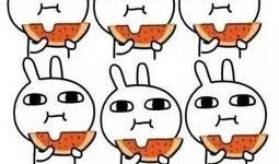 不敢随意吃瓜的成语,洞察真相——不敢随意吃瓜的智慧