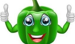 吃瓜专用小马甲王,网络红人的崛起之路