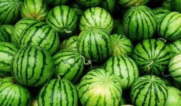 夏天必吃四瓜,清凉一夏，养生必备！