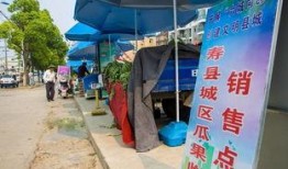 吃瓜群众开大货车,揭秘货车司机的生活日常