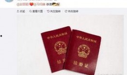 吃瓜领证,揭秘便捷婚姻登记新体验