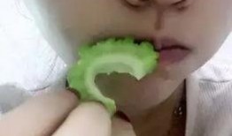 苦命吃瓜苦,苦中寻甜的奋斗历程