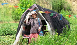 榆林健身吃瓜,揭秘健身达人的饮食秘密