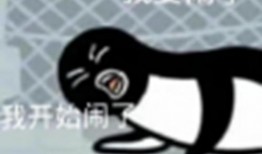 吃瓜吃兴奋了睡不着,吃瓜吃兴奋，夜不能寐的奇妙体验