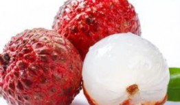 睡前吃哈密瓜荔枝,哈密瓜与荔枝的甜蜜邂逅