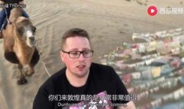 深圳吃瓜大叔视频,揭秘城市生活百态的幽默观察者